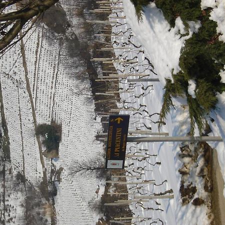 Agriturismo Ai Piacentini Санто-Стефано-Бельбо Экстерьер фото