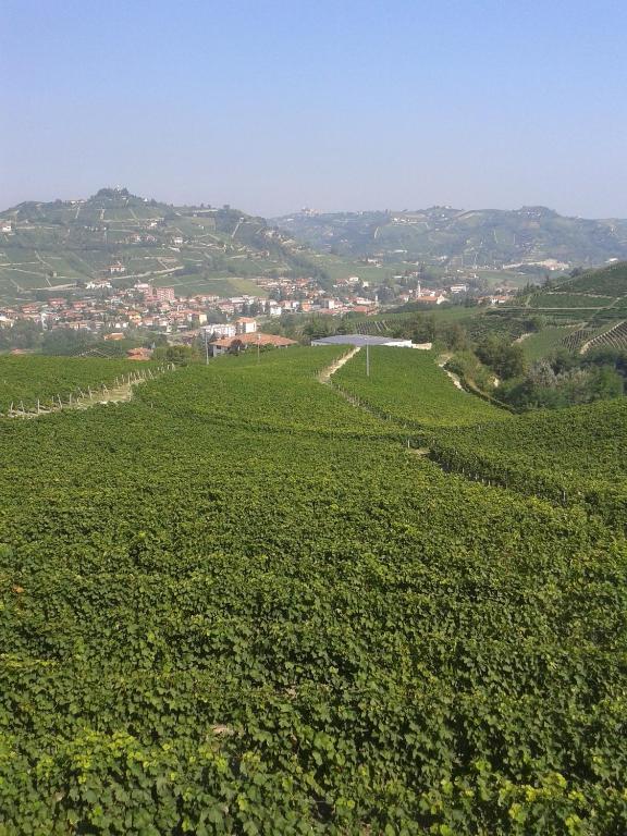 Agriturismo Ai Piacentini Санто-Стефано-Бельбо Экстерьер фото
