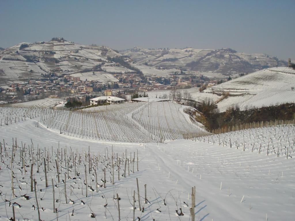 Agriturismo Ai Piacentini Санто-Стефано-Бельбо Экстерьер фото