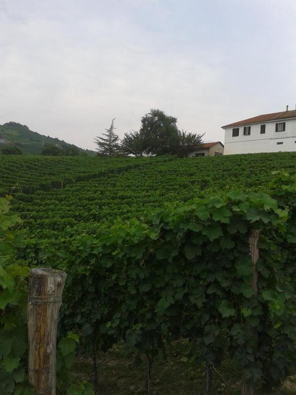 Agriturismo Ai Piacentini Санто-Стефано-Бельбо Экстерьер фото