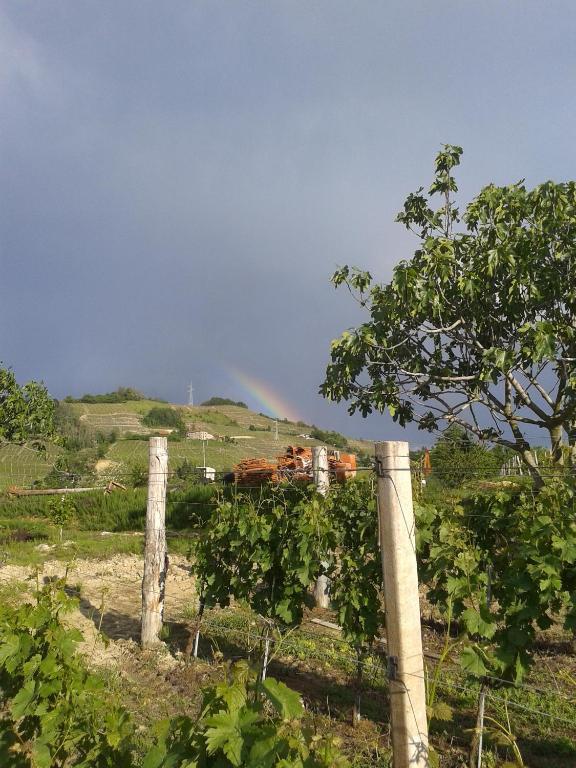 Agriturismo Ai Piacentini Санто-Стефано-Бельбо Экстерьер фото